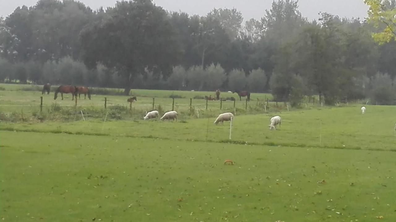 De Weije Wereld Bed & Breakfast Sint-Oedenrode Dış mekan fotoğraf